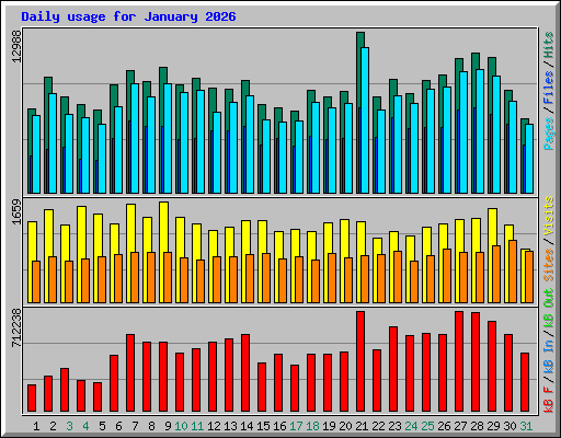 Daily usage for January 2026