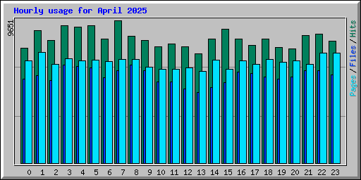 Hourly usage for April 2025