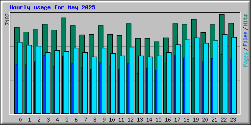 Hourly usage for May 2025