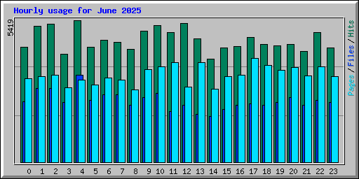 Hourly usage for June 2025