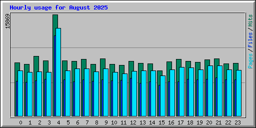 Hourly usage for August 2025