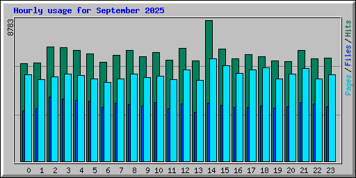 Hourly usage for September 2025