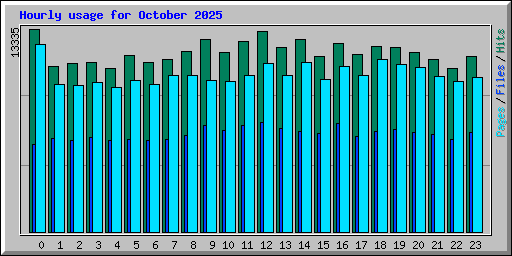 Hourly usage for October 2025