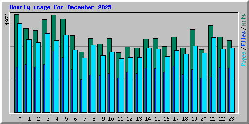 Hourly usage for December 2025
