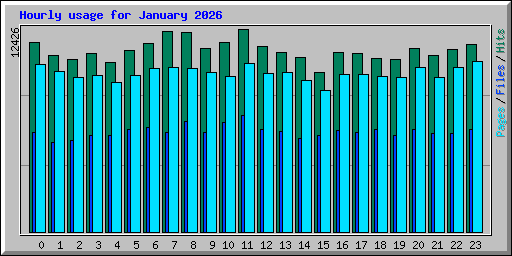 Hourly usage for January 2026