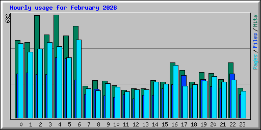 Hourly usage for February 2026