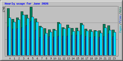 Hourly usage for June 2026