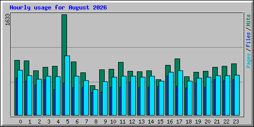 Hourly usage for August 2026